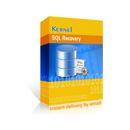 KERNEL FOR SQL DATABASE RECOVERY PARA WINDOWS, LICENCIA DE POR VIDA, PRODUCTO ESD DIGITAL KEY